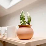 Apartamento Charmante Maisonnette Montreuil-Bellay