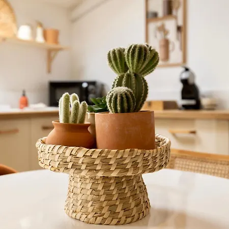 Charmante Maisonnette Montreuil-Bellay